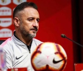 开云网址-佩雷拉暗示欲重拾波尔图教鞭：已从中超疲惫中恢复